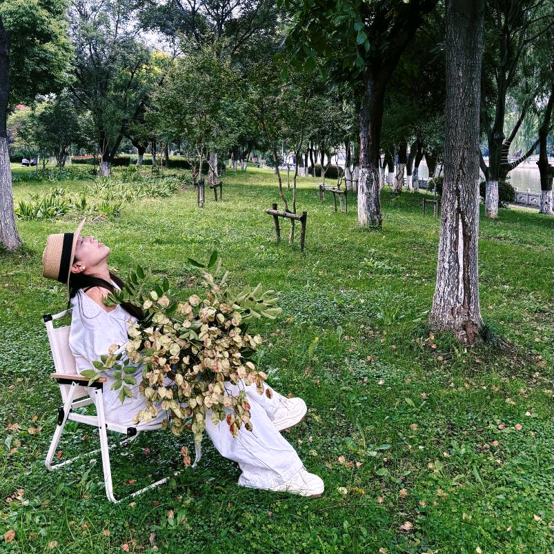 南风知我意
