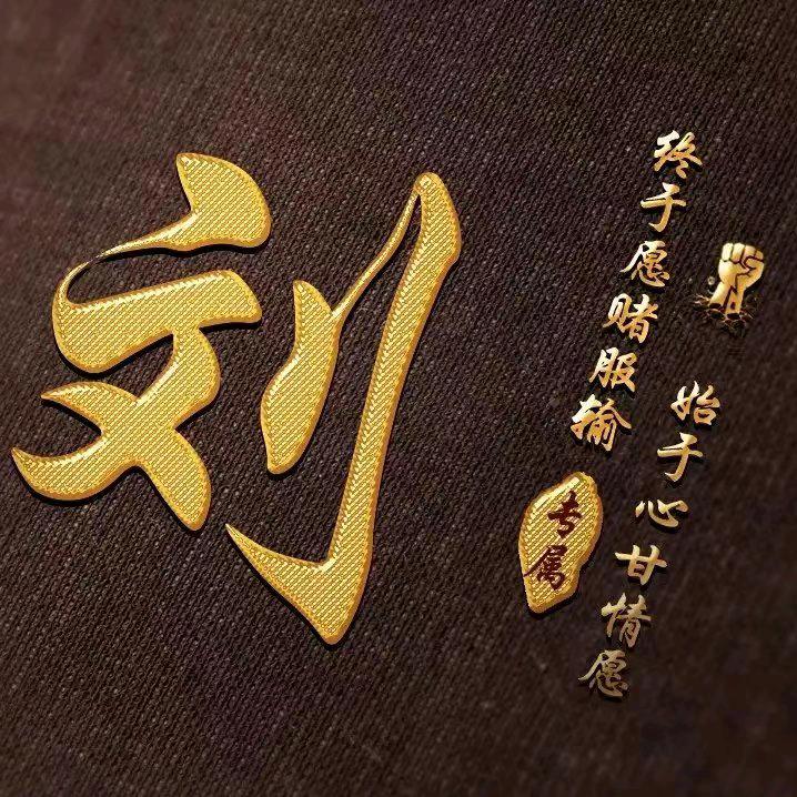 (•̀⌄•́)劉進鹏(•̀⌄•́)