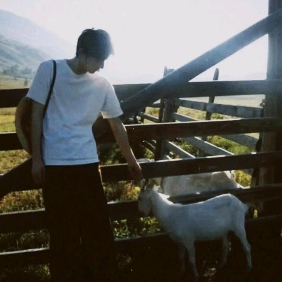 一拳打在棉花上