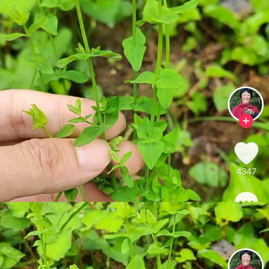 🎉人生快乐 💖