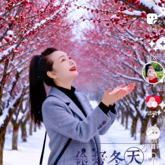 🐬❤️沉默🐬❤️