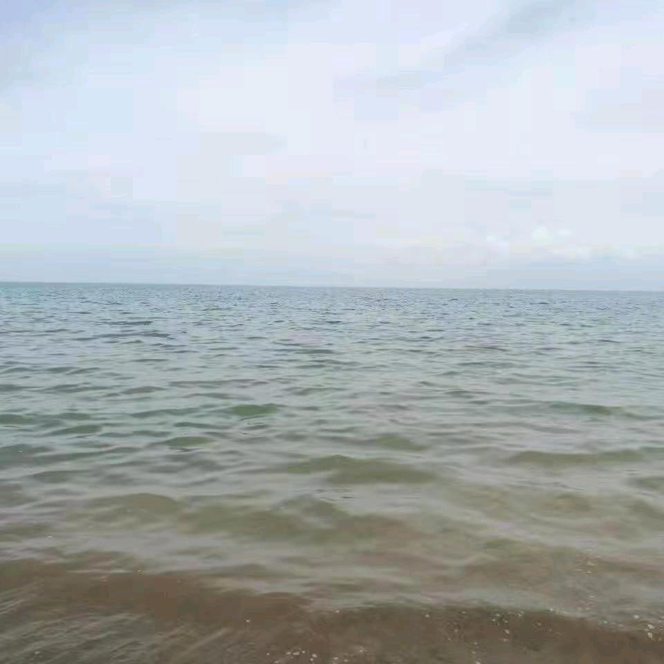 宁静的风～