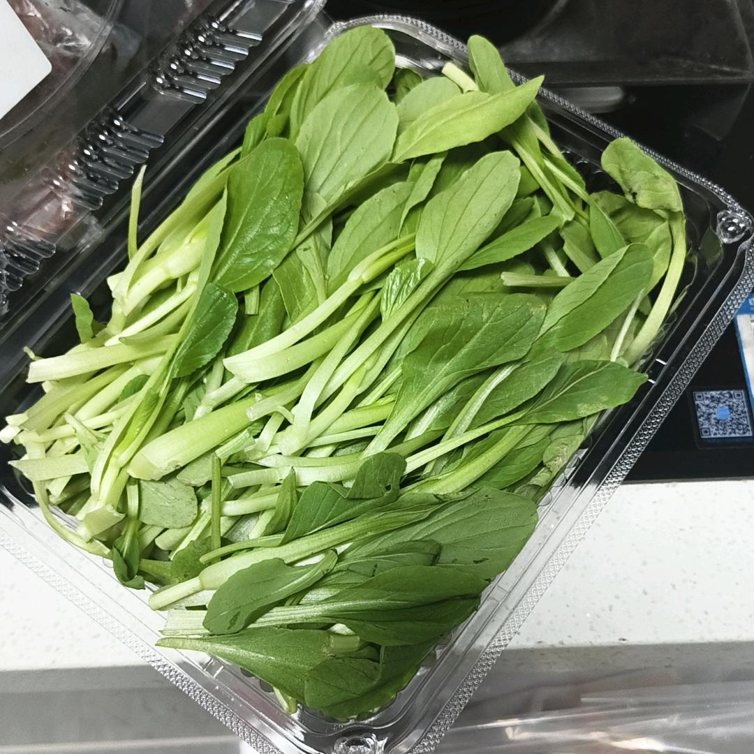 温暖宝宝
