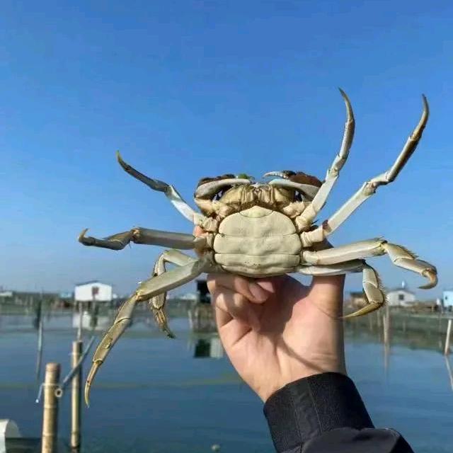 双福生鲜(大闸蟹季)