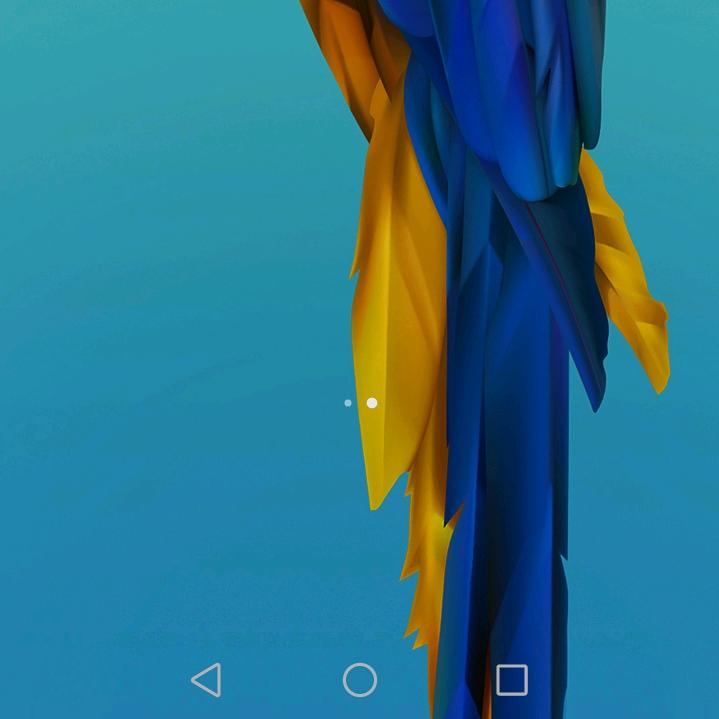 陈丁姣
