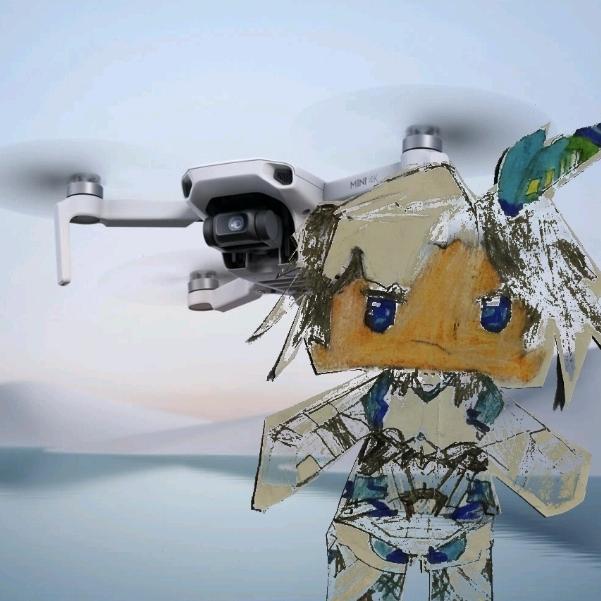 迷你枪战 蔡DJI mini2SE