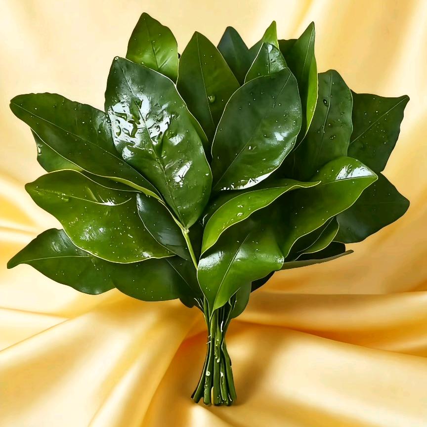 ᝰꫛꫀ八方ོ来财ঞ