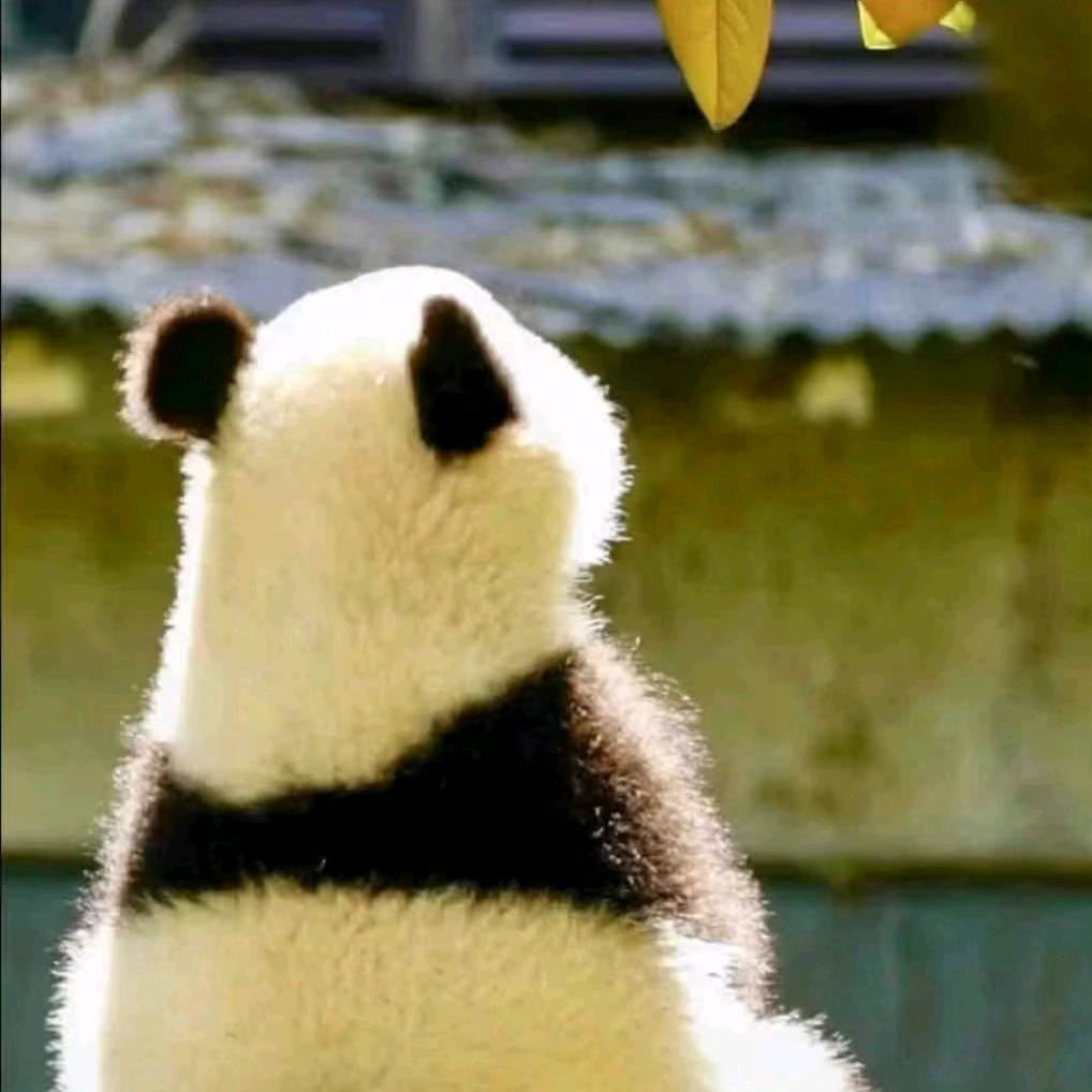 蜜儿爱火锅