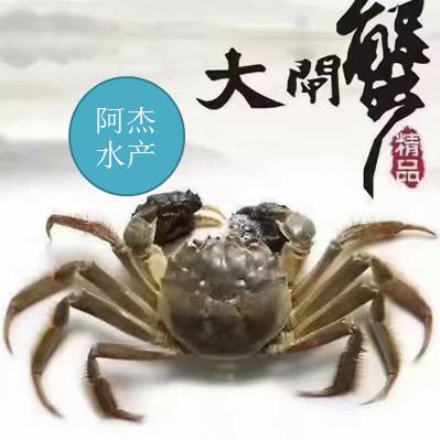 内江市阿杰水产 生蚝 大闸蟹 小龙虾批发