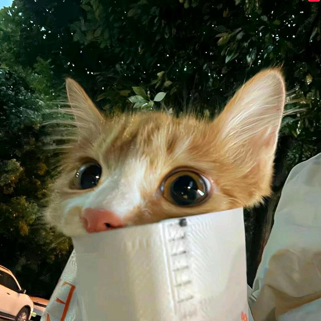 欣欣酱