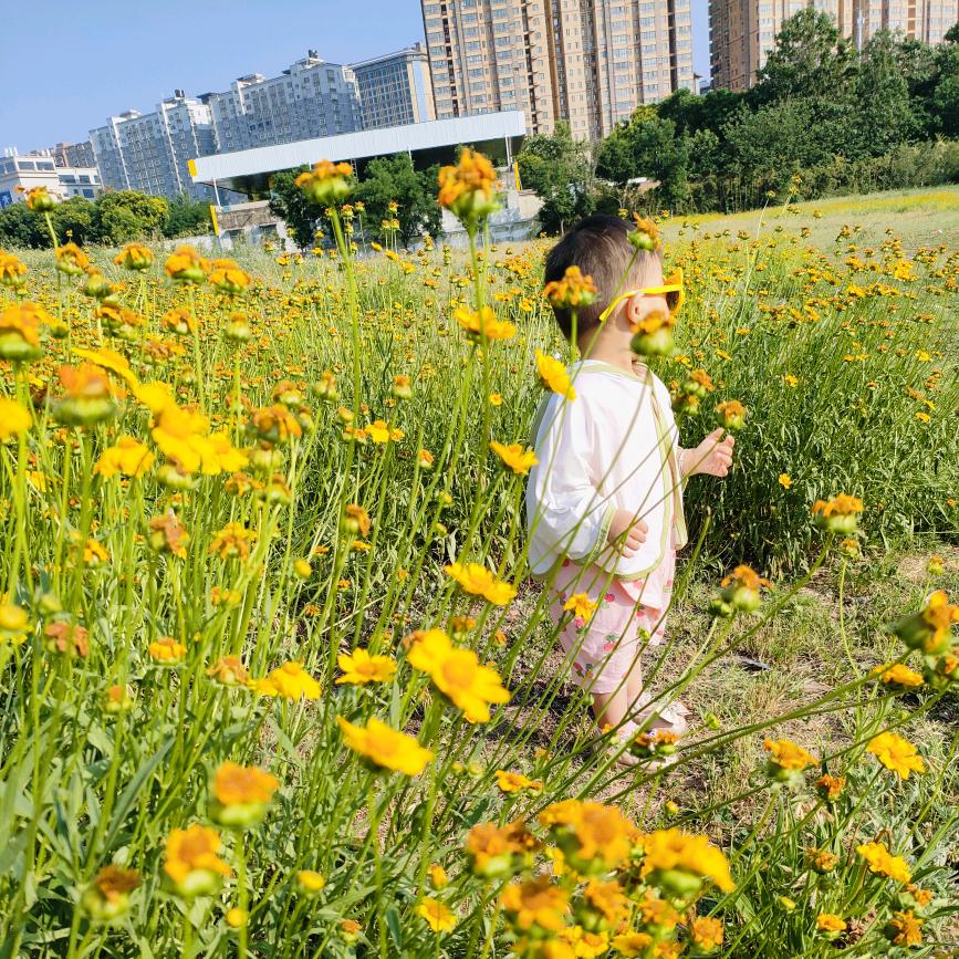 奶茶七分糖○｀ε´○