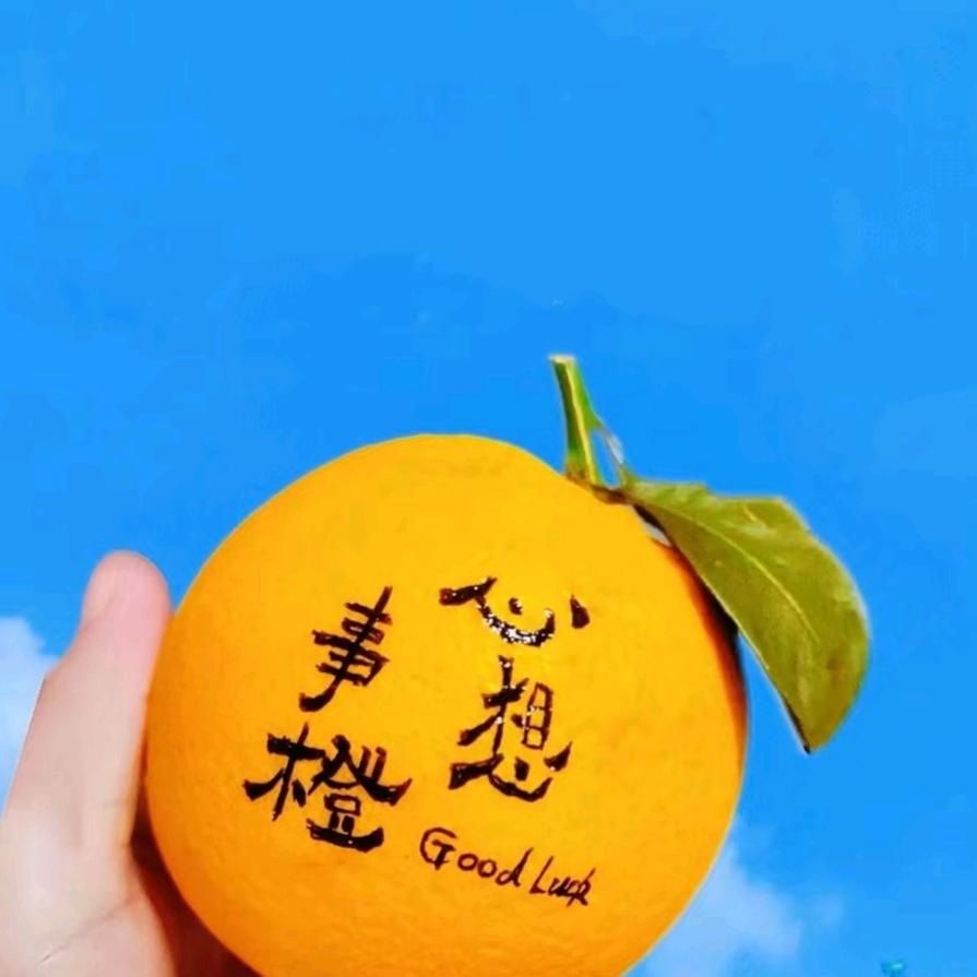 浪漫美一天