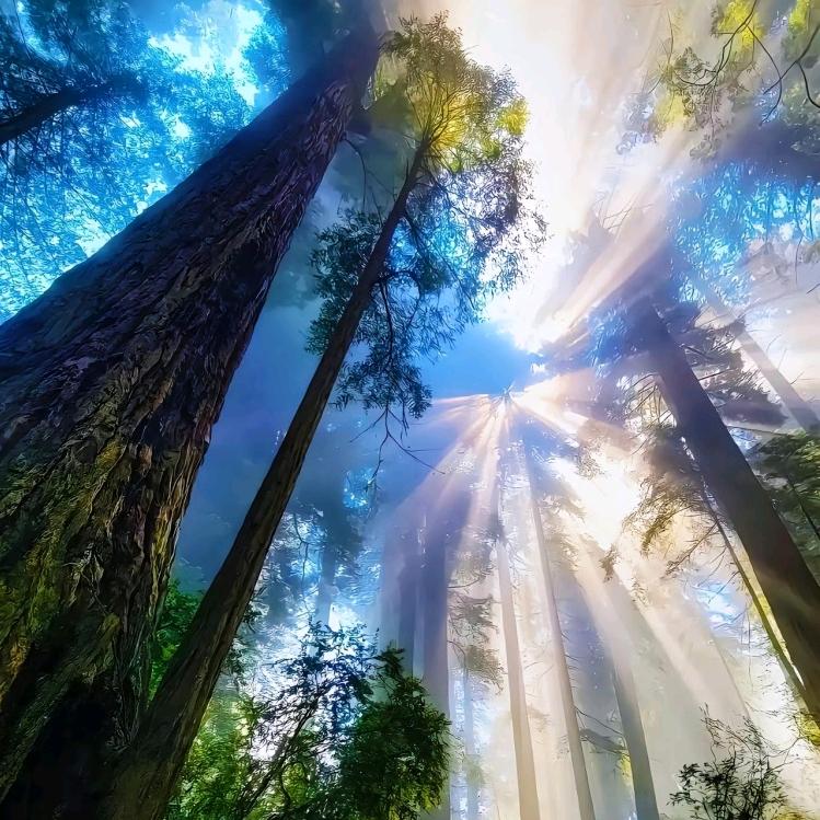 汽车问题大挑战