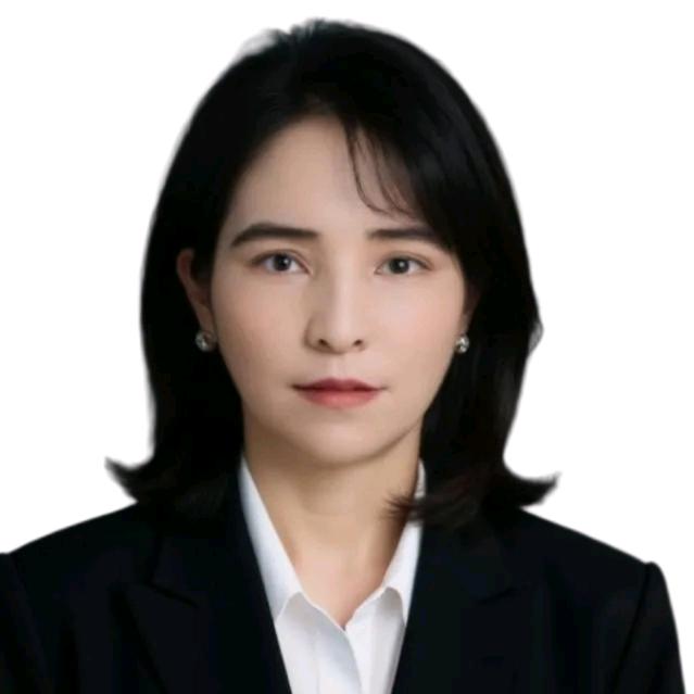 visalim 公司代理人