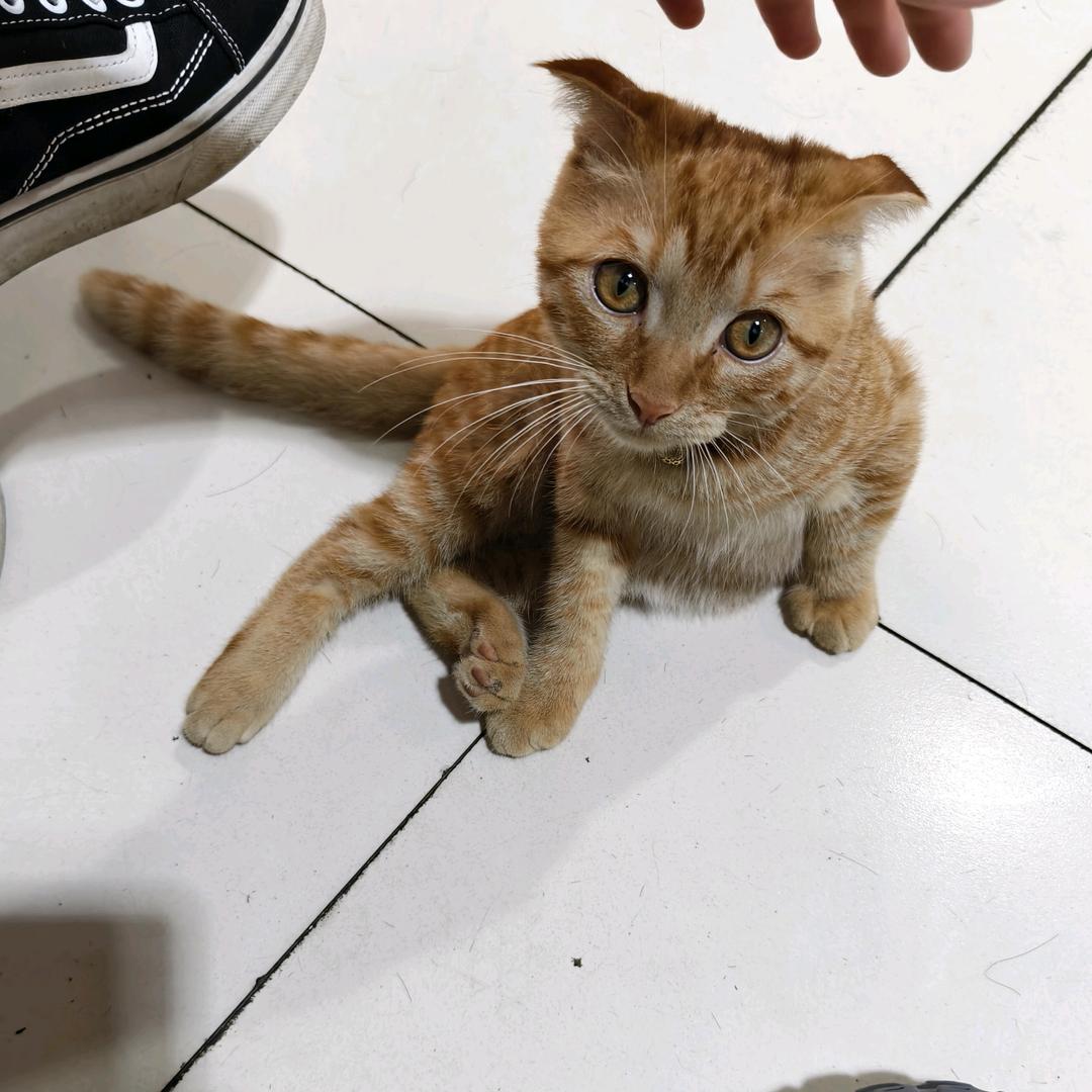 🌈这人有点古怪