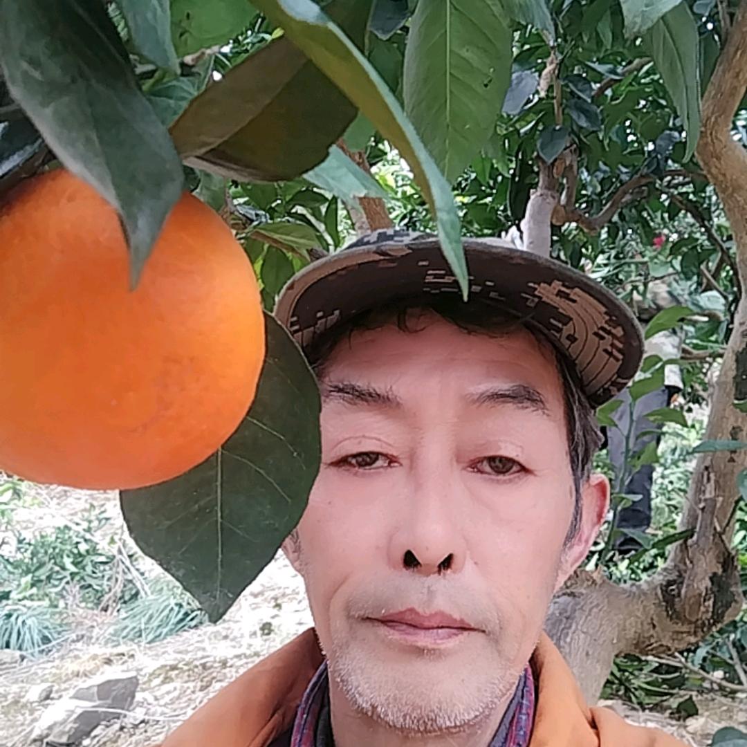 橙子杜哥