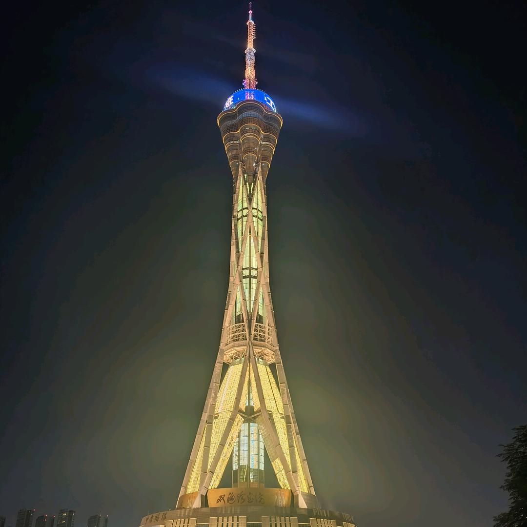 刺猬挪窝