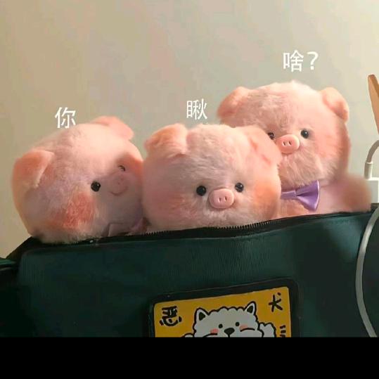 星空✨下✨有你