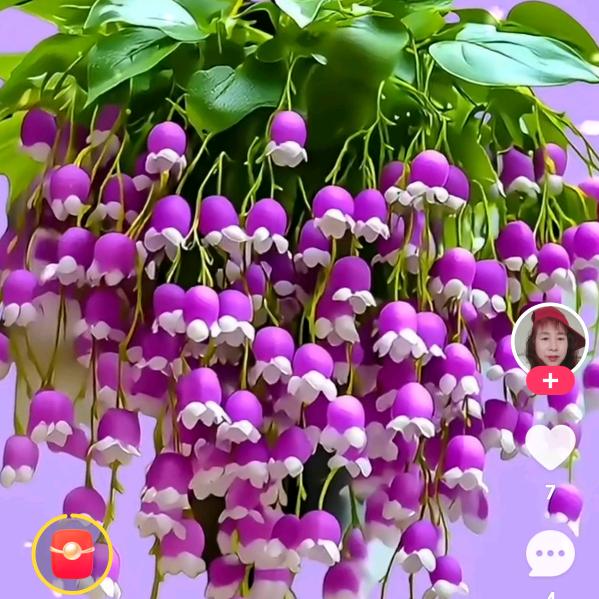 动花，动草，别动情