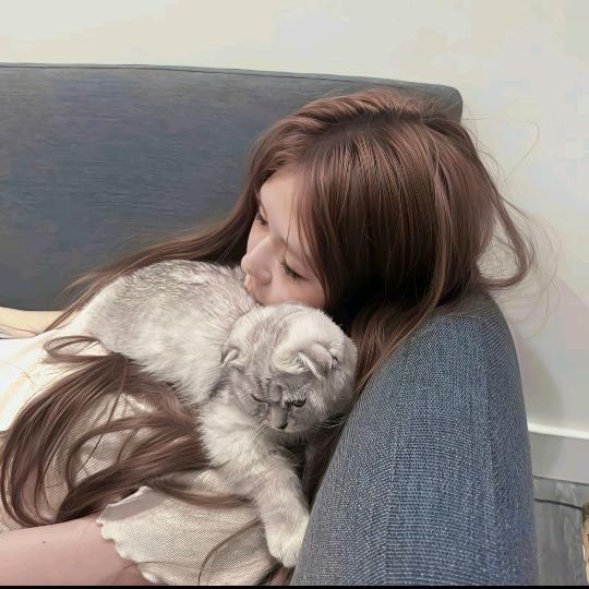 雨悸