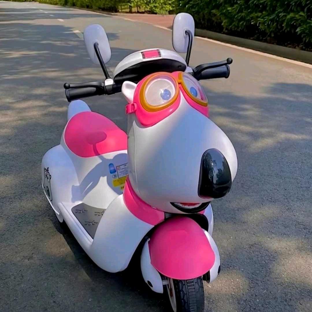 摩登室长