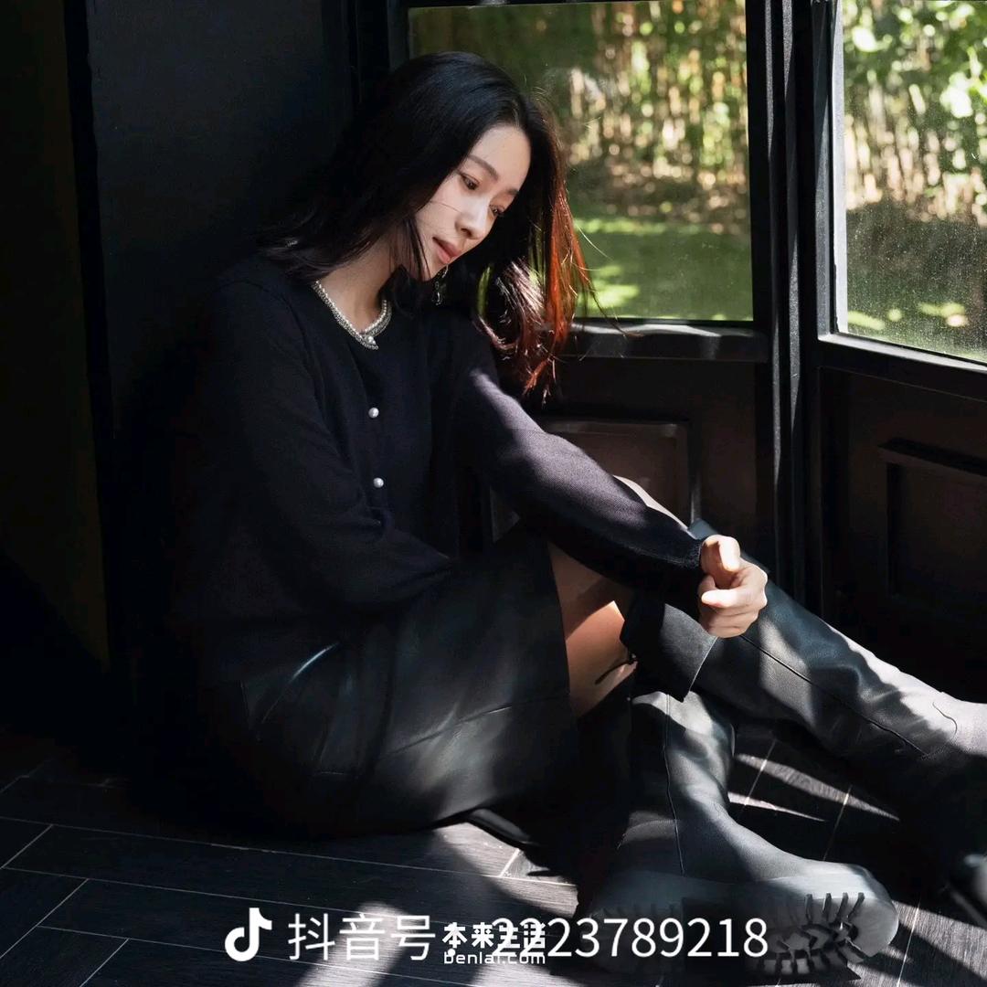 月光下的凤尾竹