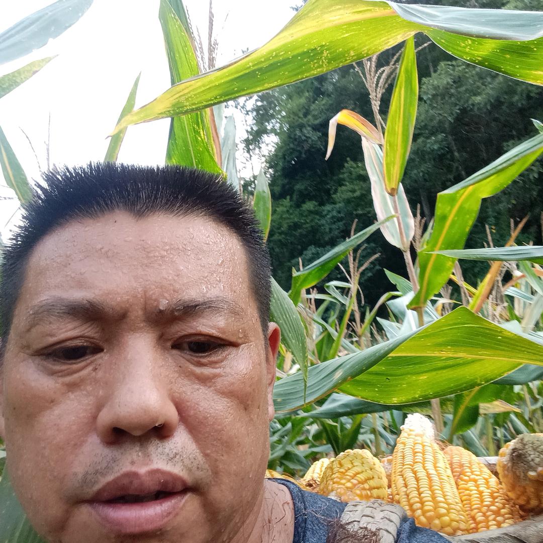 伟哥汽车修理24小时服务