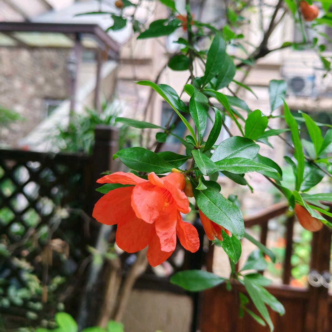 每一天都要开心