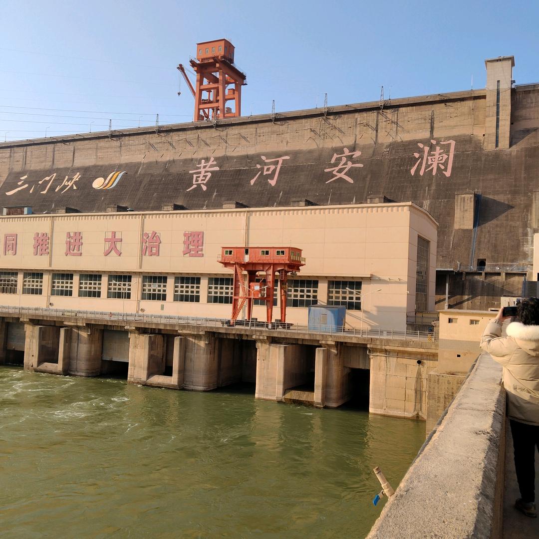重新开始：专收柏木