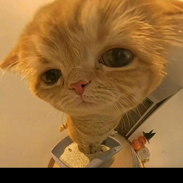 往后余生