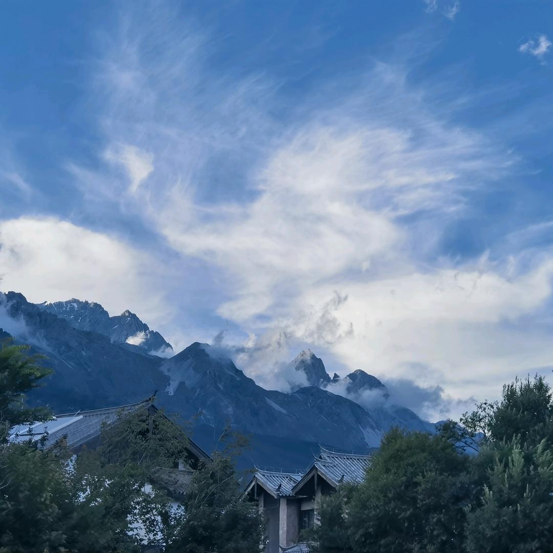 星辰哥☀🌛🌟🐯