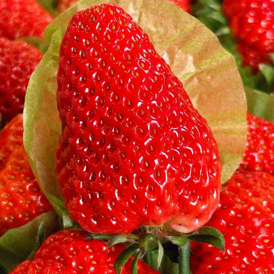 卖水果的小伙子