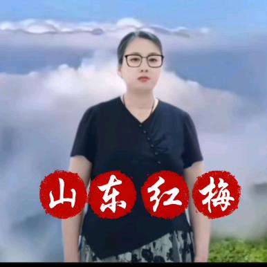 山东红梅