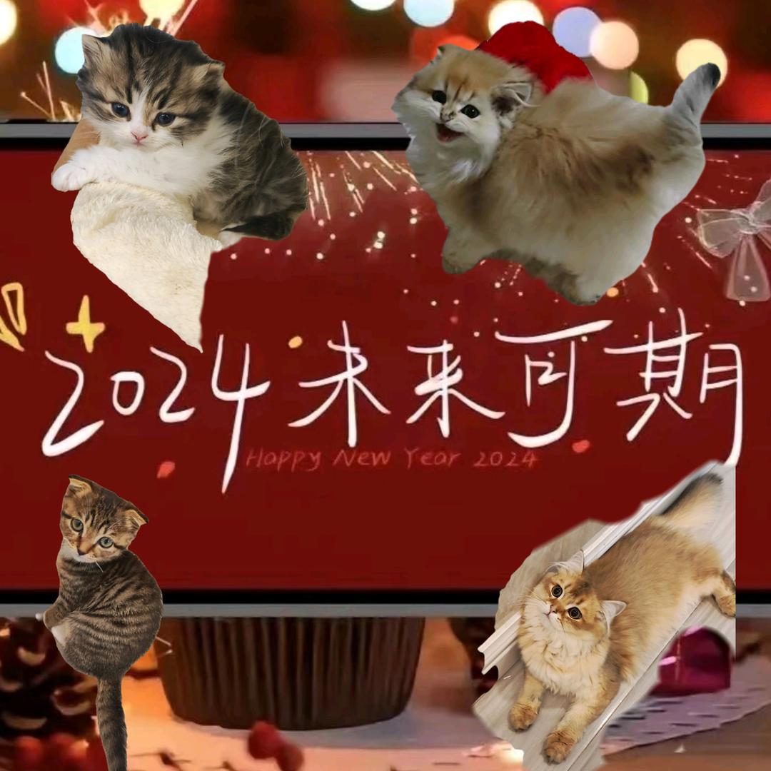 公鸭嗓与夹子音