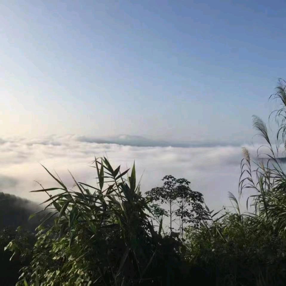 久弓