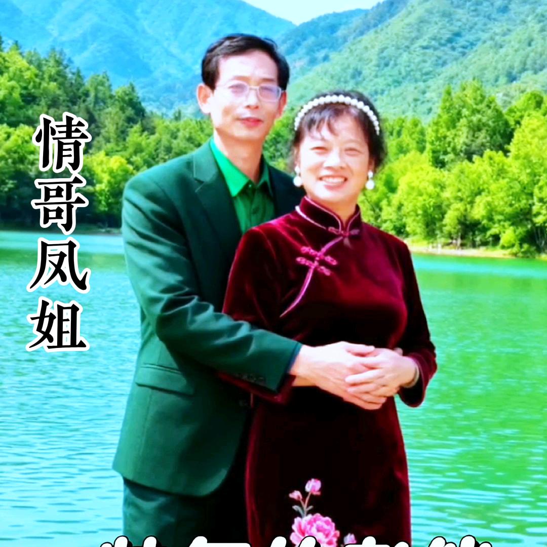 情哥凤姐