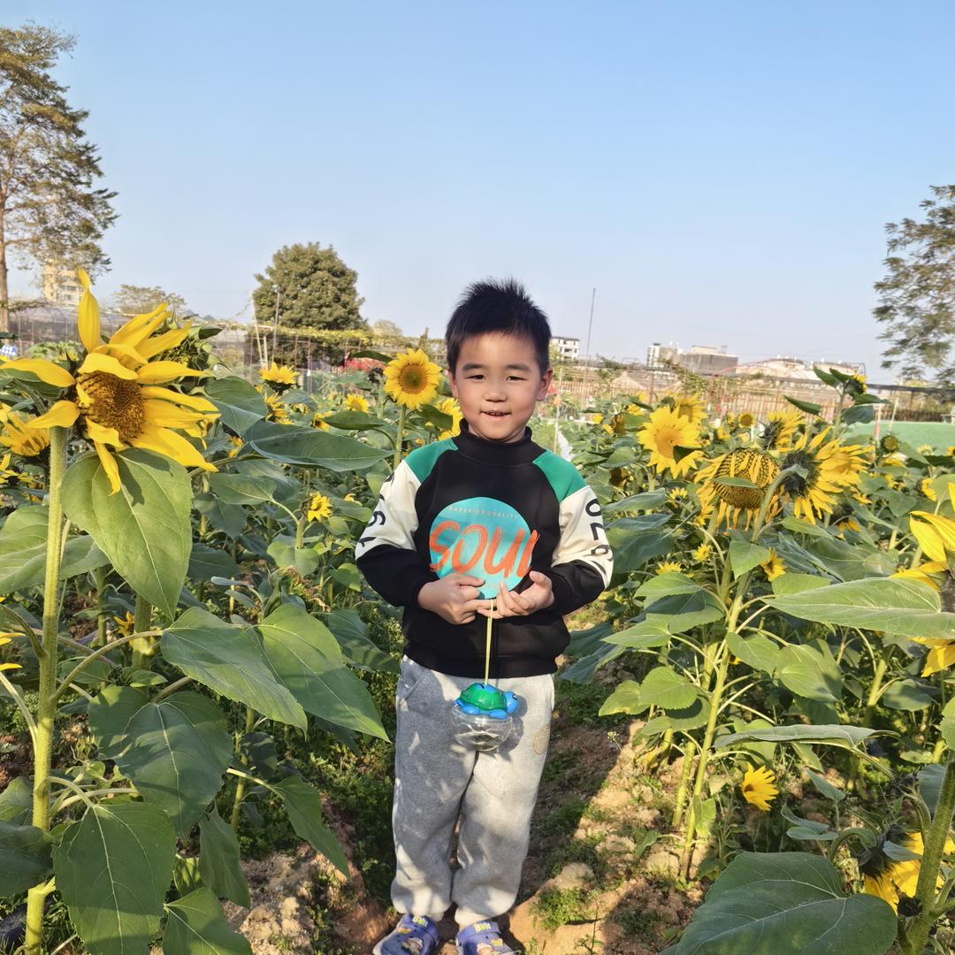 小小柜