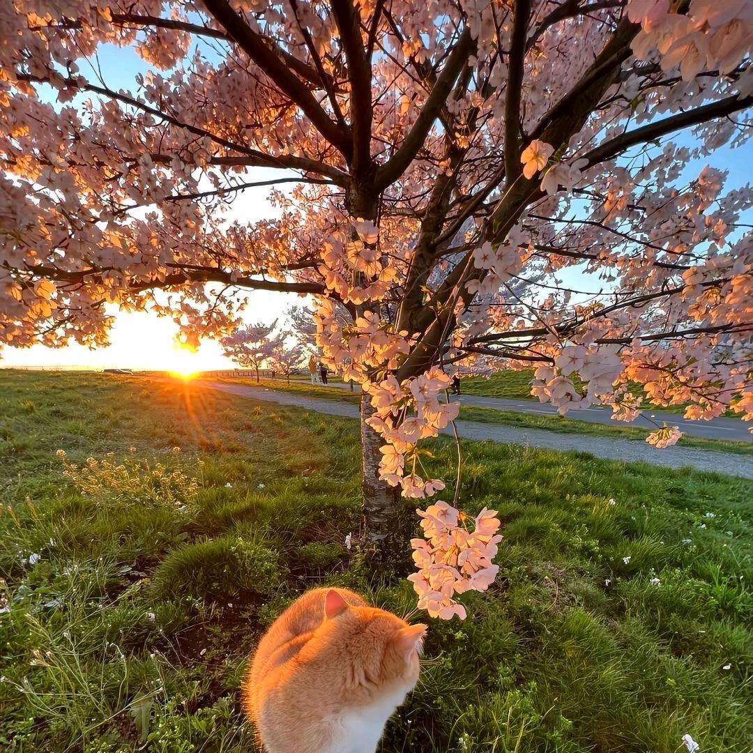 最后一爻