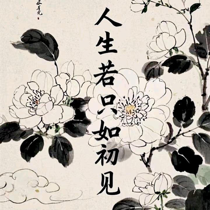 ღ᭄ꦿ愚爱 ོꦿ࿐【木】