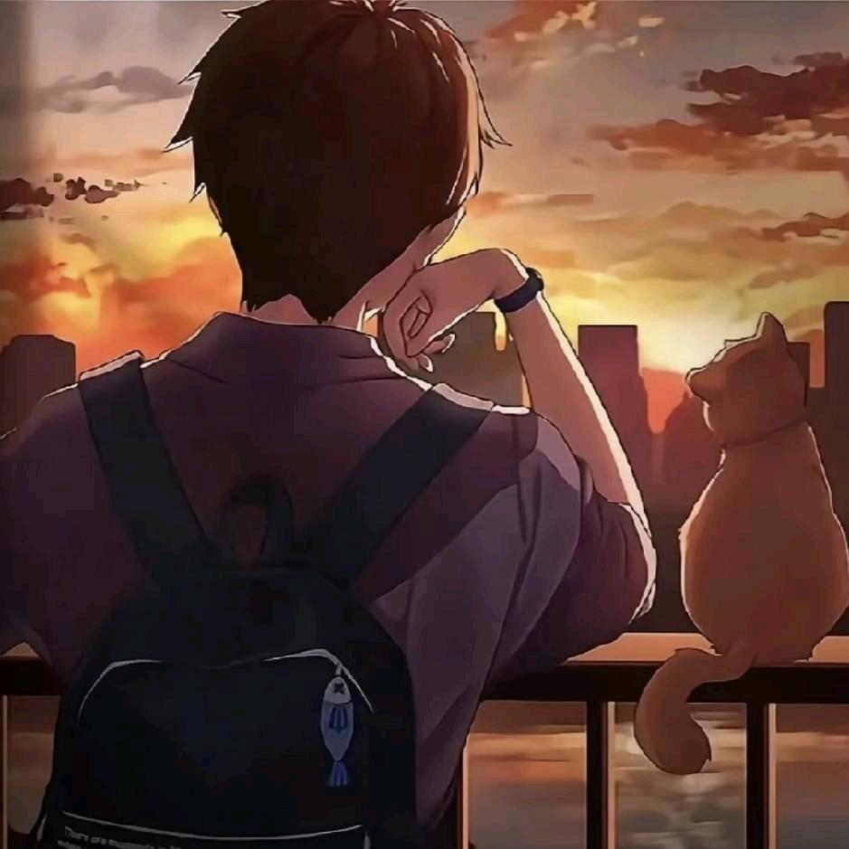 解