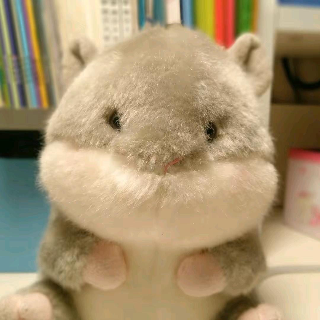 蜡笔小熊