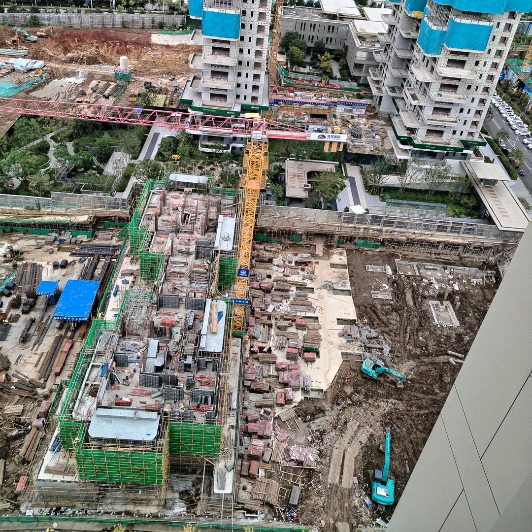 不后悔