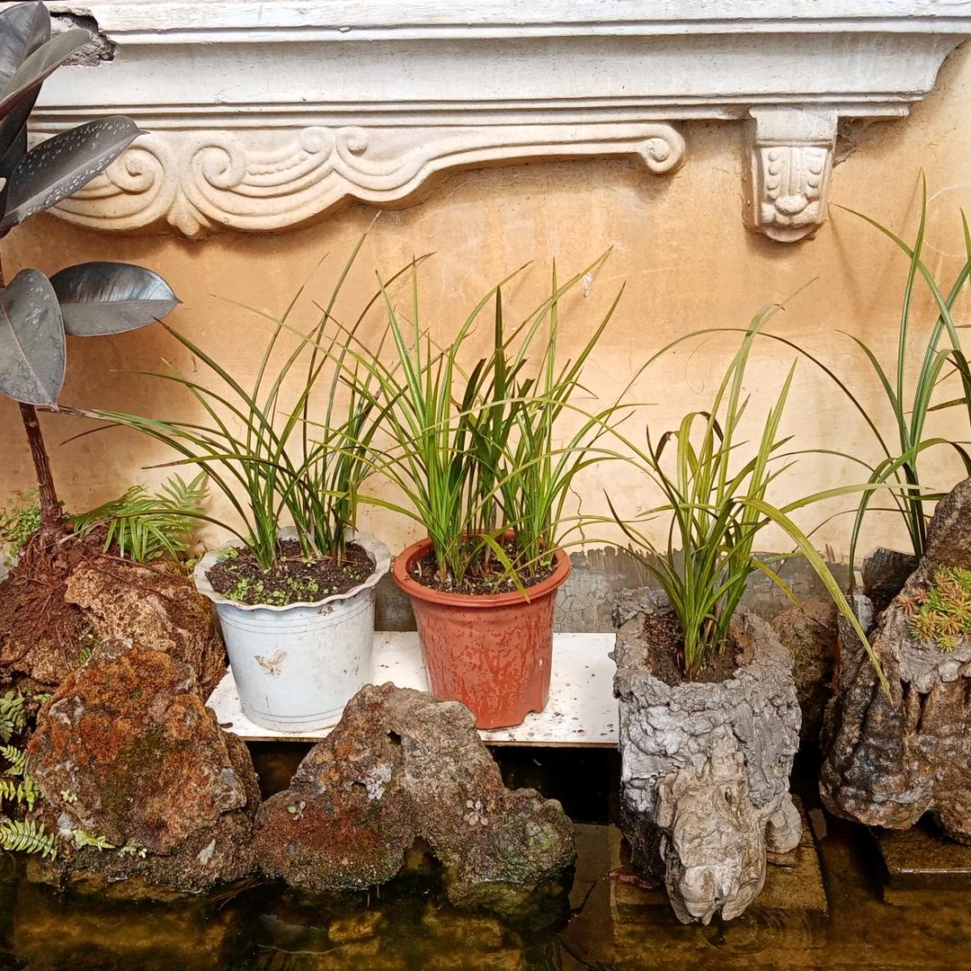 🚬ℒᎭℯ爺们ꦽོ要战斗༄꫟