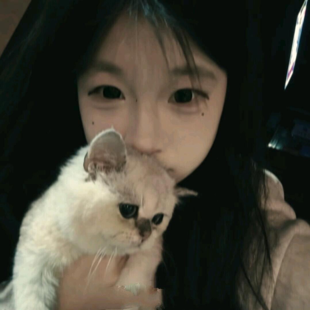 奶猫小财迷