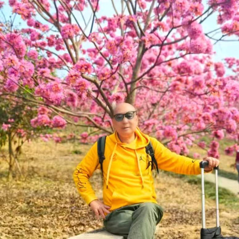 清一色