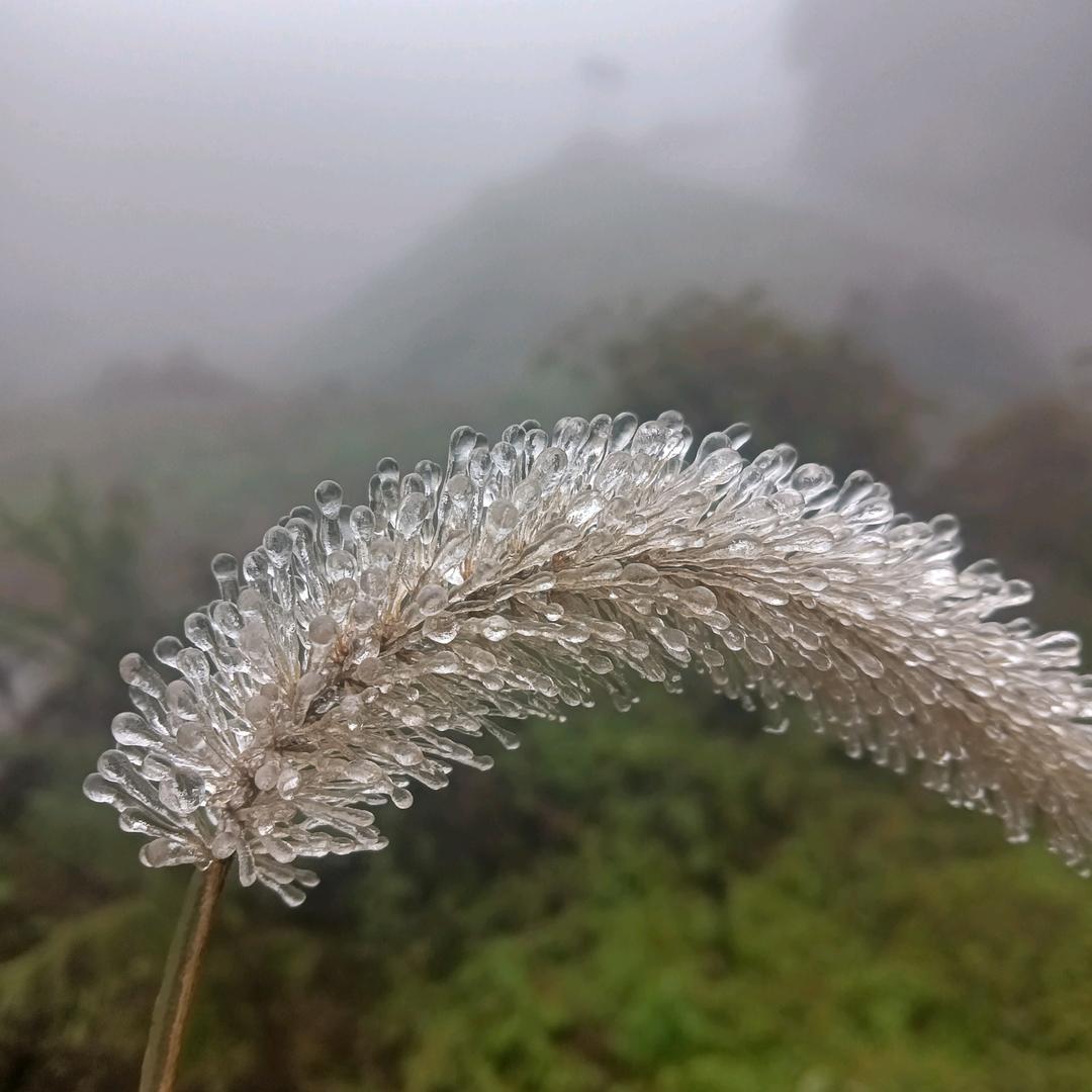 张开第三只眼