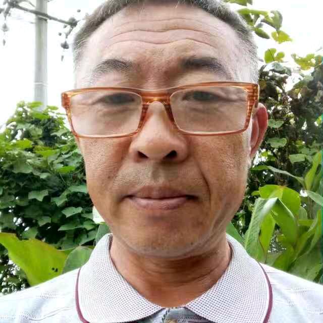 成实