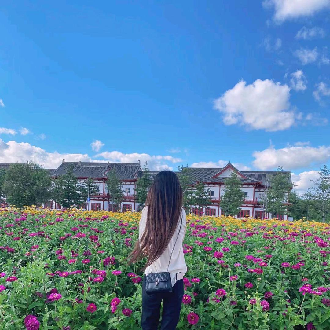 陶迷糊