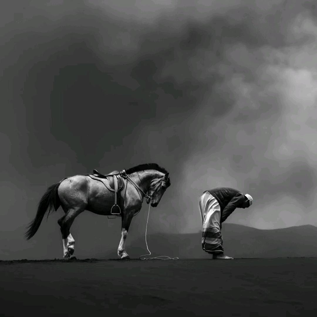 樂景折扣仓·（直播号）