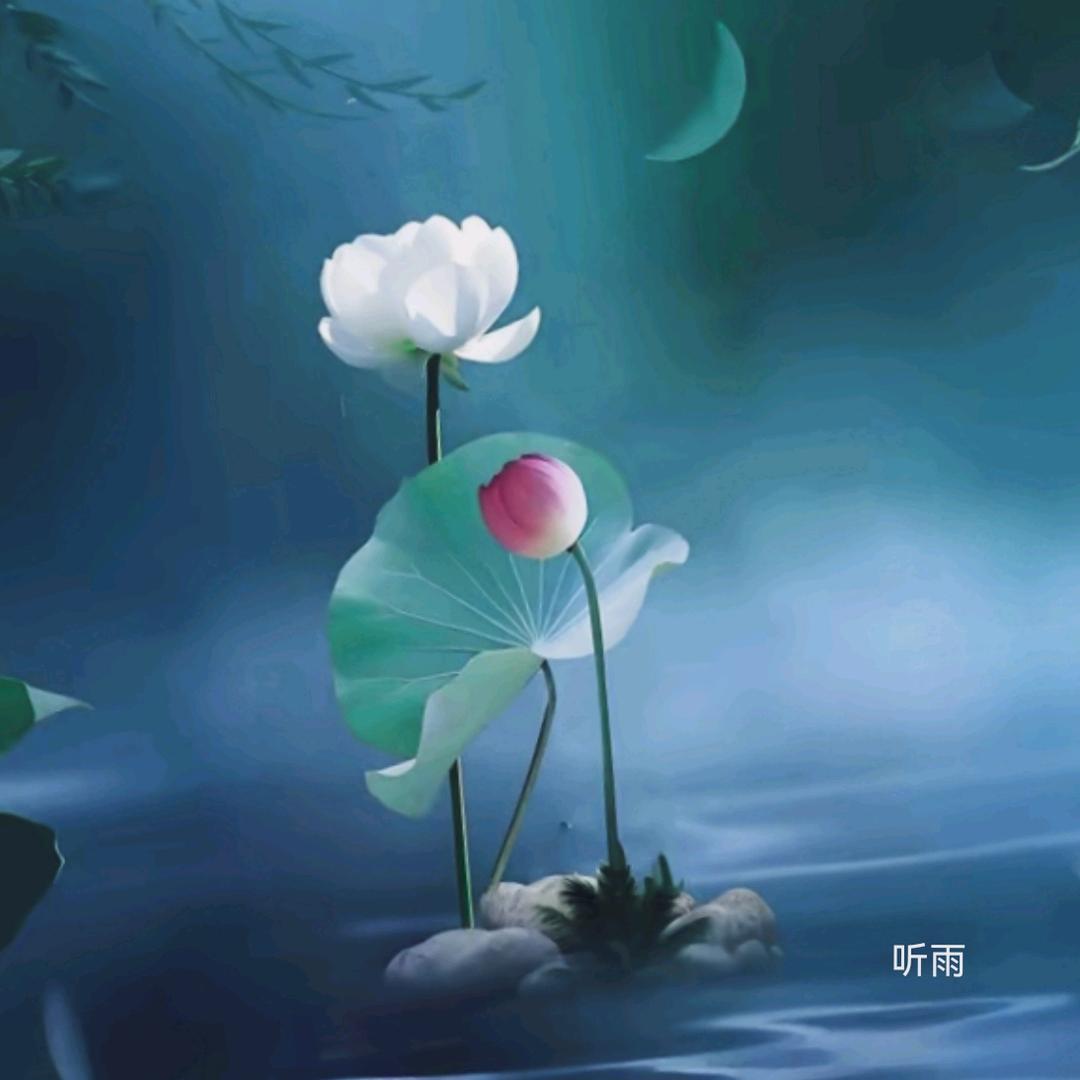 听雨